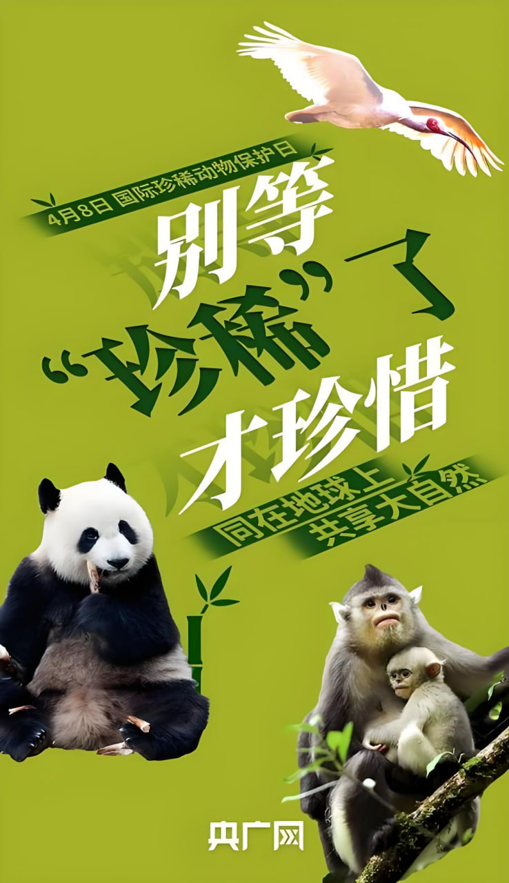 网站推广课程